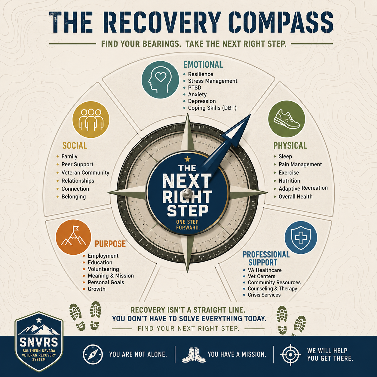 The Recovery Compass showing emotional, physical, professional support, purpose, and social dimensions around the next right step.